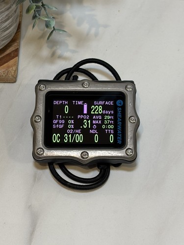 Shearwater perdix dive - perdix, ti
